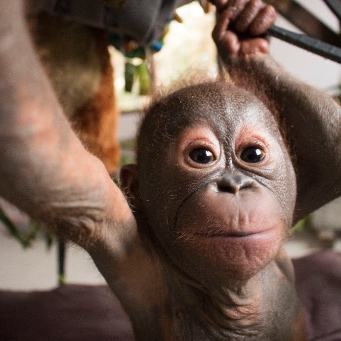 Gito reaching out in the clinic