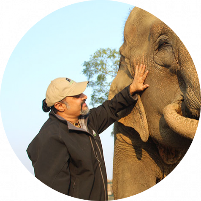 Kartick profile picture