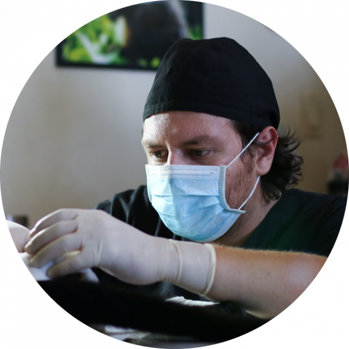 Fran profile picture